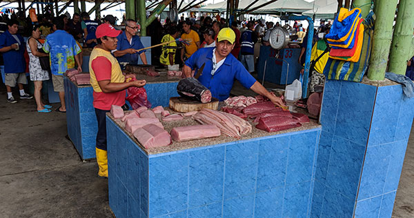 Fish market in Manta
